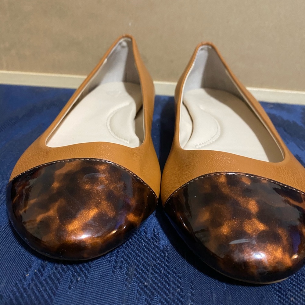 Shoe
